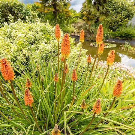 펜션 L'ecrin De Soligny